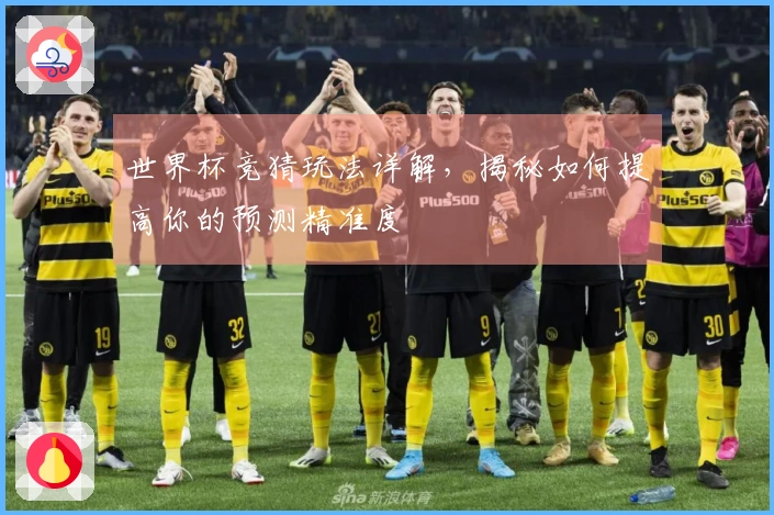 世界杯竞猜玩法详解，揭秘如何提高你的预测精准度