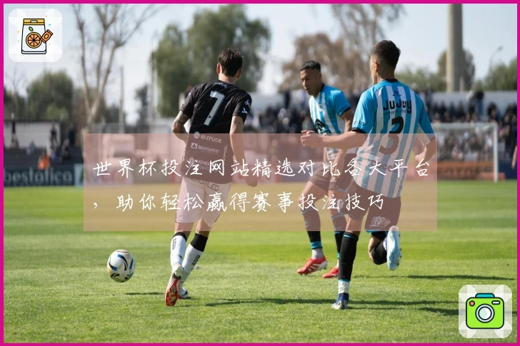世界杯投注网站精选对比各大平台，助你轻松赢得赛事投注技巧