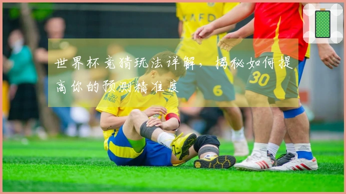 世界杯竞猜玩法详解，揭秘如何提高你的预测精准度